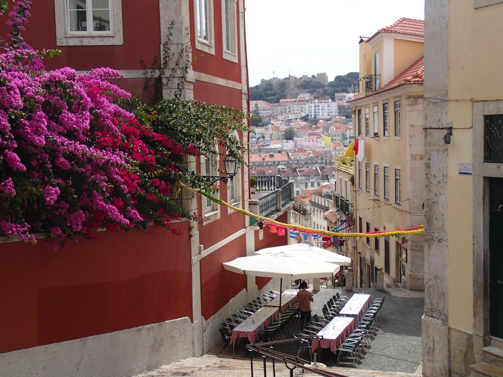 Loving Chiado *